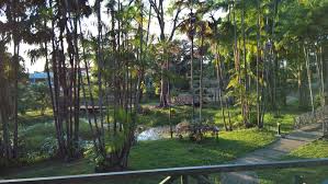 Jardin Botanique Cayenne 2018 Reviews All You Need To Know Before You Go With Photos Tripadvisor Trip Advisor Photo Jardin