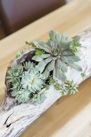 Diy Driftwood Succulent Centerpiece Succulent Centerpieces Succulent Garden Diy Succulent Candle Centerpiece