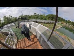 The tanjung puteri golf course is also one of the largest courses in the state. Sarang Buaya Pasir Gudang Tanjung Langsat 24 Sept 2020 Youtube