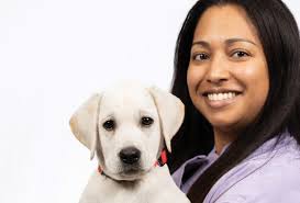 Emergency Vet Torrance, CA