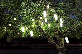 Rated 4.5 out of 5 stars. Amazon Com Britta Products Hanging Solar Garden Tree Light Waterproof Solar Lights Solar Tree Lighting Set Of Two 2 Lights Garden Outdoor