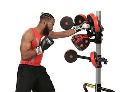Fightmaster Boxing Trainer Virtual Boxing At Home Workouts Boxing Workout