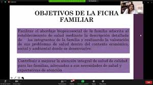 Un joven, por citar un caso, puede elaborar un plan para conquistar a una chica. 13 Elaboracion E Interpretacion De La Ficha Familiar Youtube