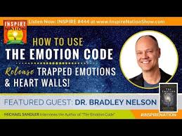 lee mudro certified emotion code and body code