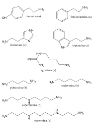 Formula Quimica De Las Principales Aminas A Y Poliaminas B Las Download Scientific Diagram