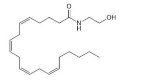 This post is exclusively for posting the question papers and answer keys of sslc model exam 2021 starting from march 1. Biochem Final Exam Flashcards Quizlet