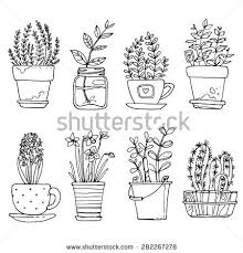 Flowerpot isolated on white background beautiful flowers. Flowers Drawings Inspiration Flowers In Pots Painted Black Line On A White Background Vector Drawing Lines Flowers Tn Leading Flowers Magazine Daily Beautiful Flowers For All Occasions
