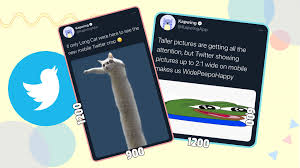If i posted something a moment of silence to all of my past posts that suffered from the twitter crop. T1r8k Vqpz92hm