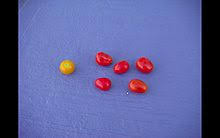 Maybe you would like to learn more about one of these? Grape Tomato Wikipedia