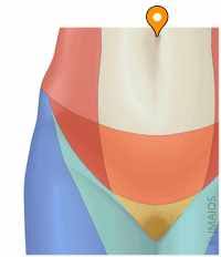 Image result for Umbilicus