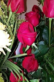 مجموعة رائعة من اجمل الصور للزهور الطبيعيه ثقف نفسك. ÙˆØ±ÙˆØ¯ Ø§Ù„Ø®Ù„ÙÙŠØ© ØªØ­Ù…ÙŠÙ„ Ø¥Ù„Ù‰ Ù‡Ø§ØªÙÙƒ Ø§Ù„Ù†Ù‚Ø§Ù„ Ù…Ù† Phoneky