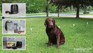 The brand name here adds some extra value. 10 Best Invisible Dog Fences In 2020 In Ground Vs Wireless