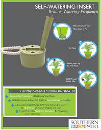 Self Watering Insert Southern Patio Self Watering Watering Water Plants