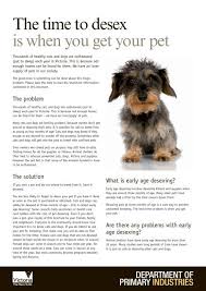 At austin animal center, you can find all breeds, ages, and personality types. The Time To Desex Is When You Get Your Pet Hume City Council