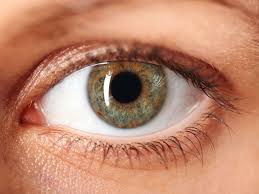 Image result for Eye Foreign Body