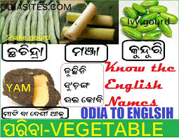 'personality is to a man what perfume is to a flower' and other great sayings. Vegetable Names In Odia And English