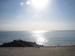 Photos And Videos Of Fletcher Hotel Restaurant Zeeduin