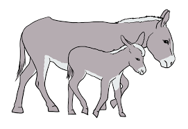 Free Drawings Of Animals Posters Images Pdf Download