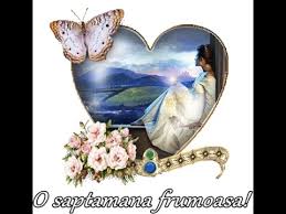 Am inceput o saptamana de vis. O Saptamana Frumoasa Have A Great Week Youtube