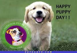 Smile It S National Puppy Day Love Your Pet Day Puppy Day Dog Love