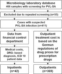 Denn manche körperregionen können leicht von bakterien oder anderen. Skin Infections Due To Panton Valentine Leukocidin Pvl Producing S Aureus Cost Effectiveness Of Outpatient Treatment