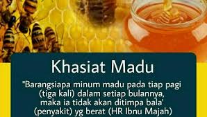 Madu lebah asli kaya dengan pelbagai jenis vitamin yang diperlukan oleh tubuh badan anda. Madu Lebah Asli Sumatera Home Facebook