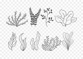 Seaweed Cartoon 17 seaweed transparent png or svg seaweed 17. seaweed cartoon