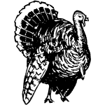 Download Turkey Silhouette Free Svg