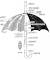 Parts Of Folding Umbrella