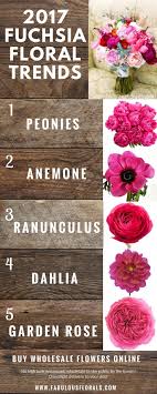 2017 Fuchsia Wedding Flower Trends Http Www Fabulousflorals Com The Diy Bride S 1 Fuchsia Wedding Flowers Wedding Flower Trends Diy Wedding Flowers