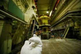 Bei ebay finden sie artikel aus der ganzen welt. Wildschweine In Bayern Radioaktiv Belastet Geo