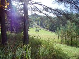 The Staff at Winchester Community Church
