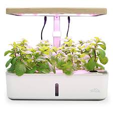 A8bed575.kckb.st have you ever wanted to grow fresh herbs, veggies and fruits in your home? 6 Best Indoor Vegetable Garden System Reviews 2021 Bioexplorer Net