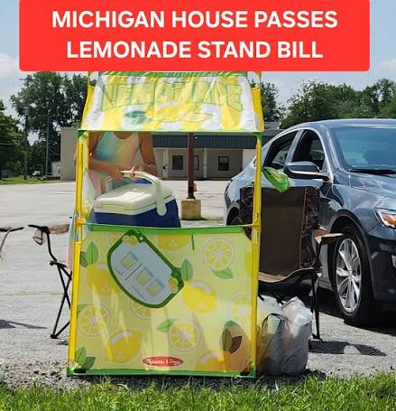 MICHIGAN HOUSE PASSES LEMONADE STAND BILL The Michigan House has unanimously  passed House Bill 6007, legislation that would allow children to operate lemonade  stands without excessive government fees and permit requirements. If