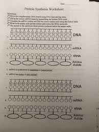 Enable text based alternatives for graph display and drawing entry. 32 Dna Protein Synthesis Worksheet Free Worksheet Spreadsheet