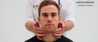 Image result for Submandibular Exam