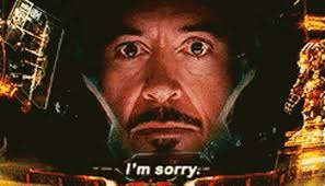 Iron Man Im Sorry GIF