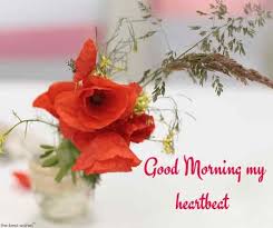 Romantic Good Morning Message For Husband Best Collection Romantic Good Morning Messages Good Morning Messages Good Morning Beautiful Flowers