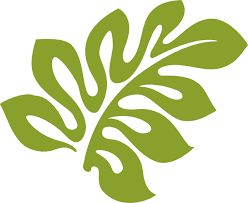 Vector Clip Art Online Royalty Free Public Domain Leaf Template Hibiscus Leaves Flower Template Assim como quem trabalha com artesanato somos divertidos, leves e inovadores. leaf template hibiscus leaves