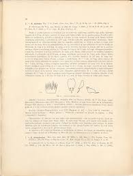 Image result for Eriosema shirense