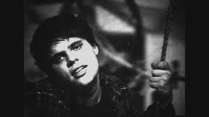 6 Shows to See in the Next 7 Days