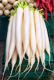Novyjl Redka Chernaya Zelenaya I Belaya Opisanie Poleznye Svojstva I Vozmozhnye Protivopokazaniya Fot Vegetables Name Of Vegetables Health Benefits Of Radishes