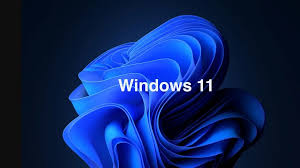 Install Ulang Windows 11 Online