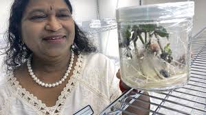 Lackawanna College, Vytal Plant Science open STEM lab