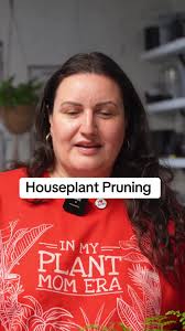 How to Trim Hanging Plants