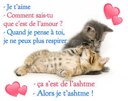 Le silence de deux êtres qui s'aiment et qui ne ressentent pas le besoin de se le dire. Message D Amour Humoristique Dire Je T Aime Avec Humour St Valentin