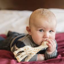 THE BEST 10 PHOTOGRAPHERS near DILDO ISLAND, NL A0B 1P0