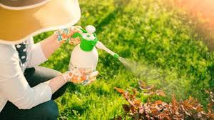 They have done a really wonderful job, and. Lessons Learned From The Alaskan Home Garden Consequences And Alternatives To Pesticide Use For Our Soils Plants And Ourselves The Collaborative On Health And The Environment