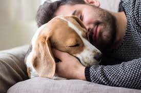 Remember, pets are very good at concealing their pain and discomfort and our duty is to alleviate suffering to the best extent possible. In Home Pet Euthanasia Tucson Az Desert Paws Mobile Vet Care
