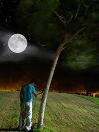 Wallpaper sad boy hd 4k application for fans with 4k hd quality which will certainly beautify the appearance of your mobile screen. Wallpaper Sad Boy With Moon Novocom Top
